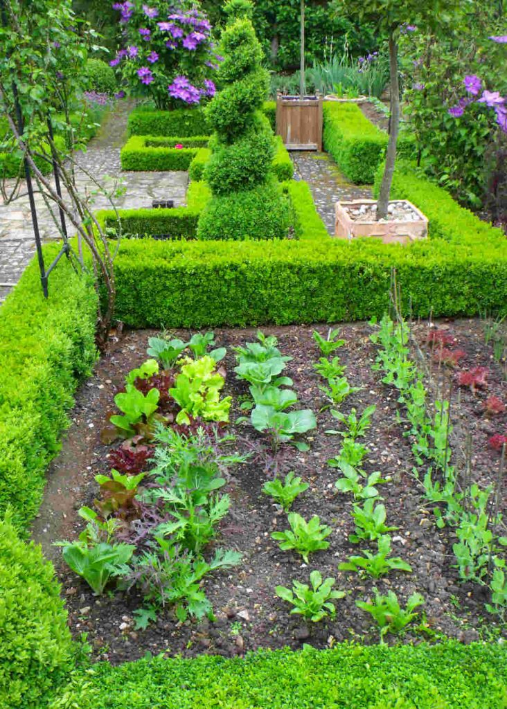 Kitchen Garden Lordship Farm Garden